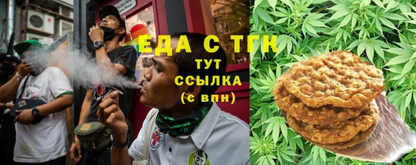 тгк Алзамай