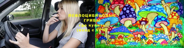 не бодяженный Алексин
